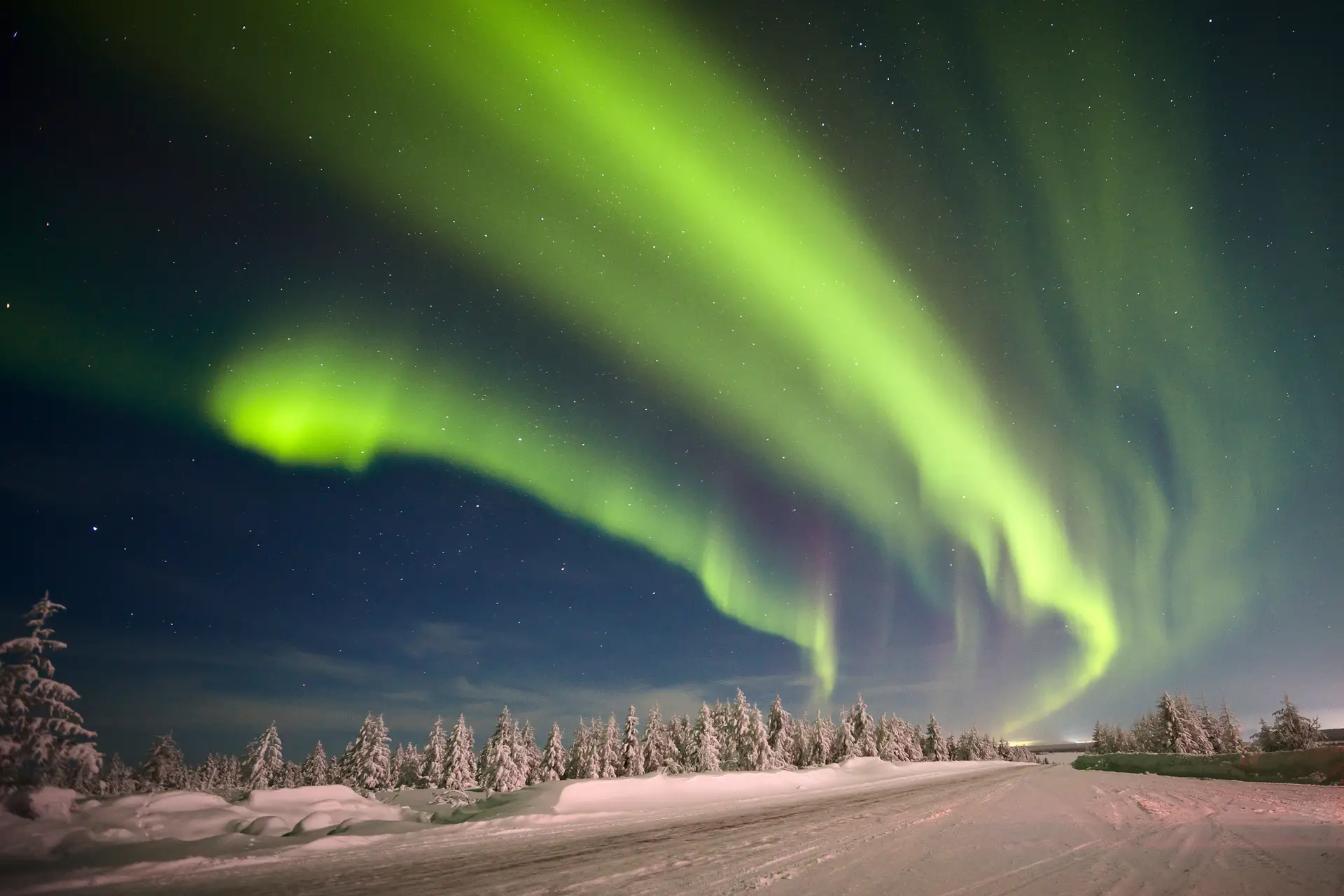 Grünes Nordlicht am Sternenhimmel über einer verschneiten Straße zwischen schneebedeckten Tannen