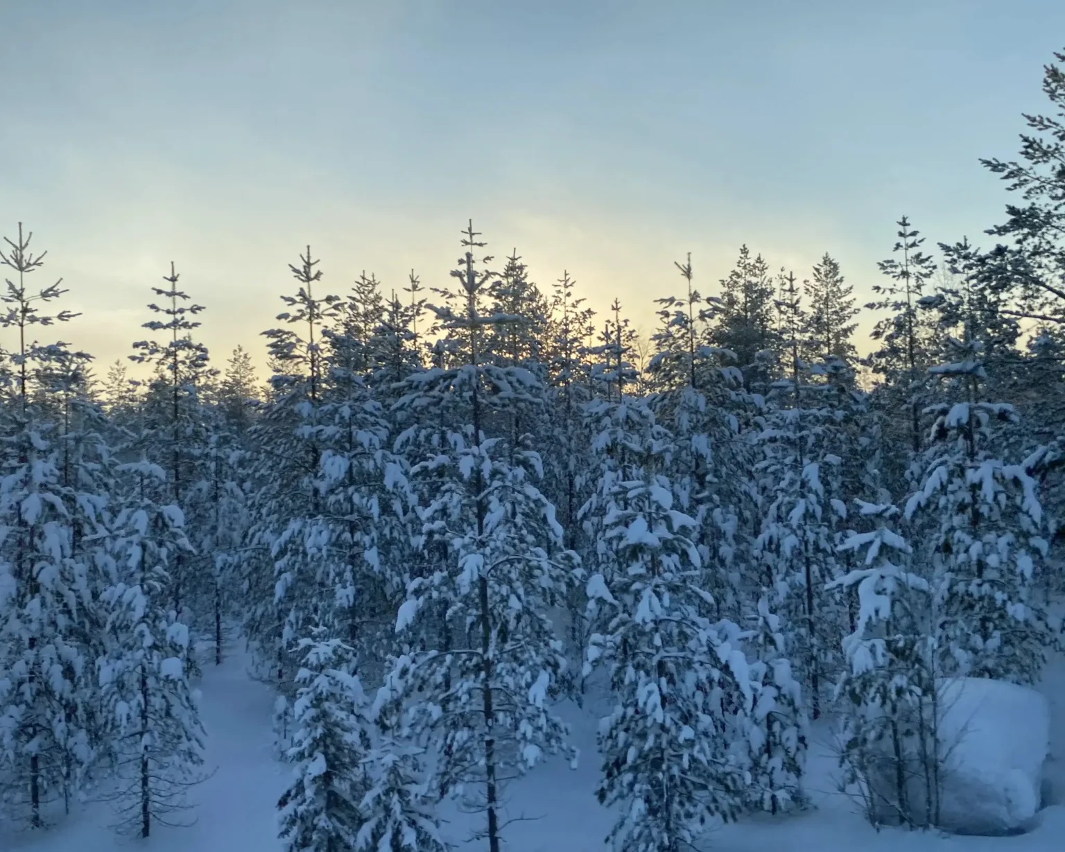 Finnland-Landschaft-Kuusamo©vianova (12)