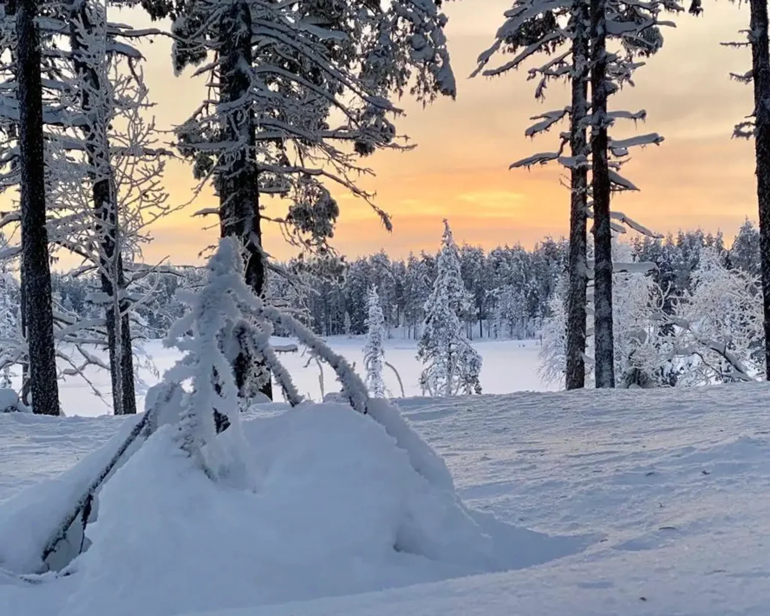 Finnland-Landschaft-Kuusamo©vianova (3)