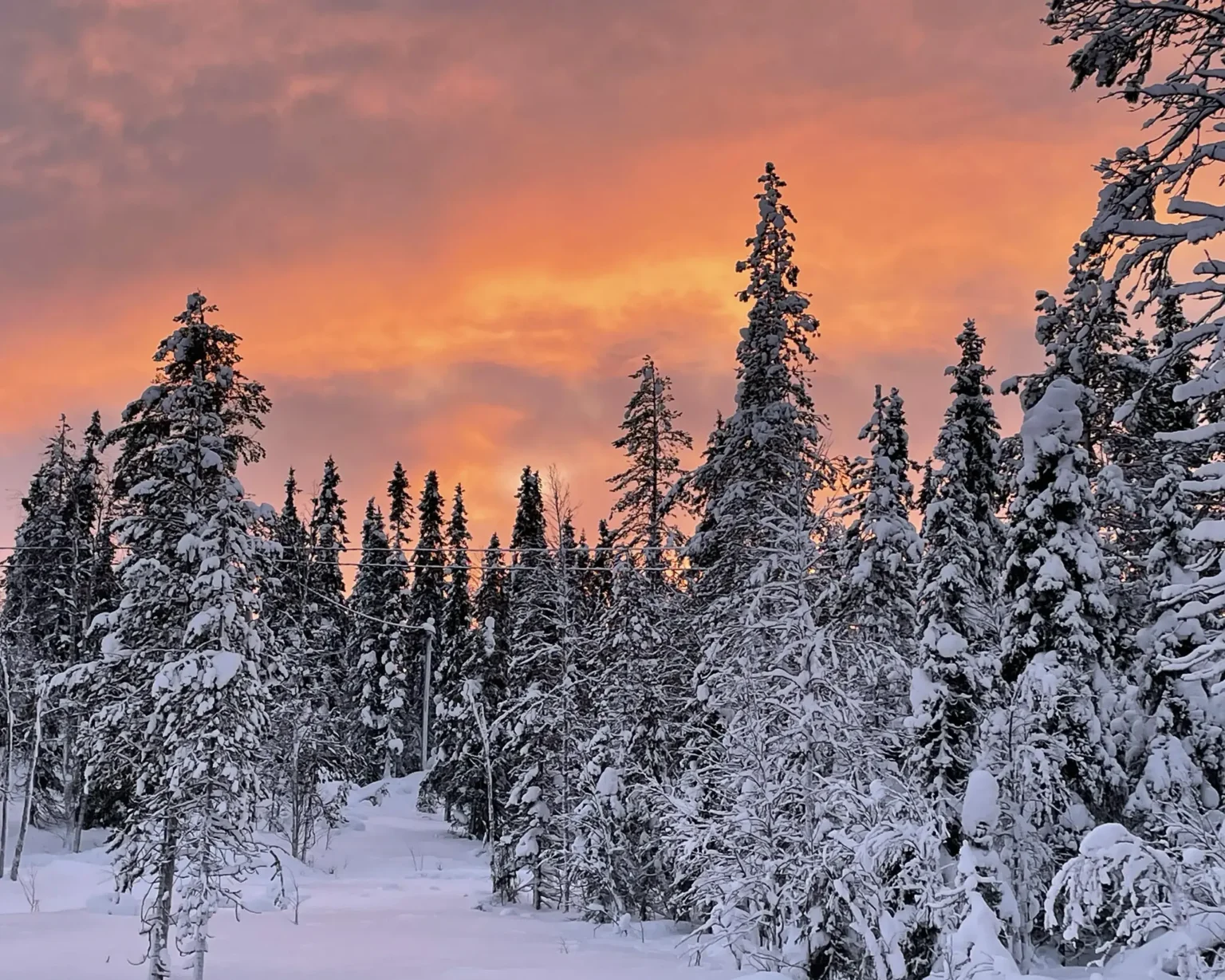 Finnland-Landschaft-Kuusamo©vianova (8)