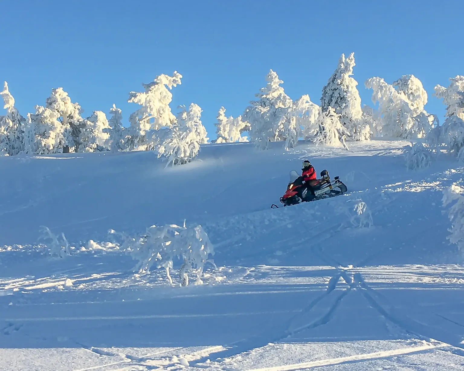 Motorschlittenfahrt-Finnland_©vianova