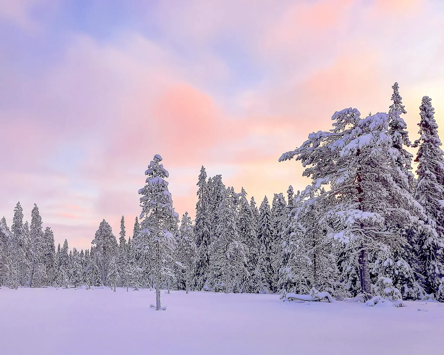 Winterlandschaft-Finnland_©vianova