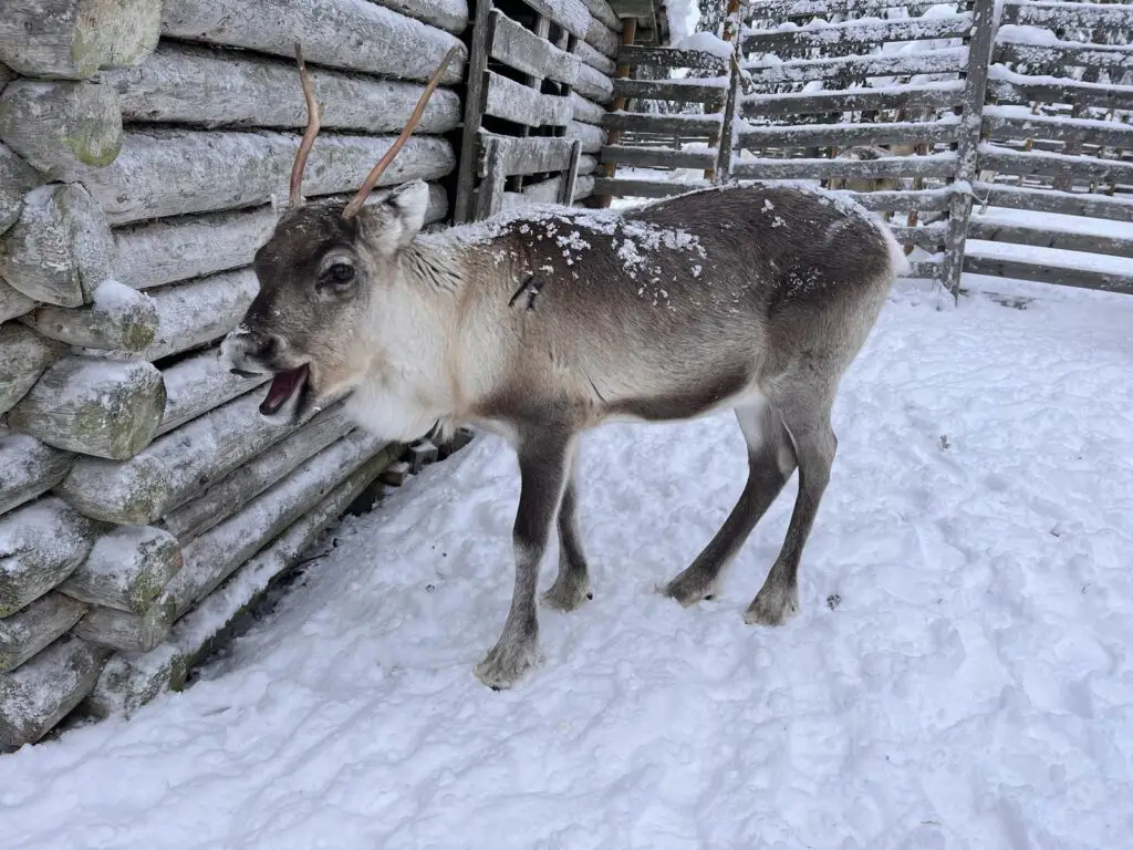 27931220-b5dd-4032-941a-a97826ff2d8d