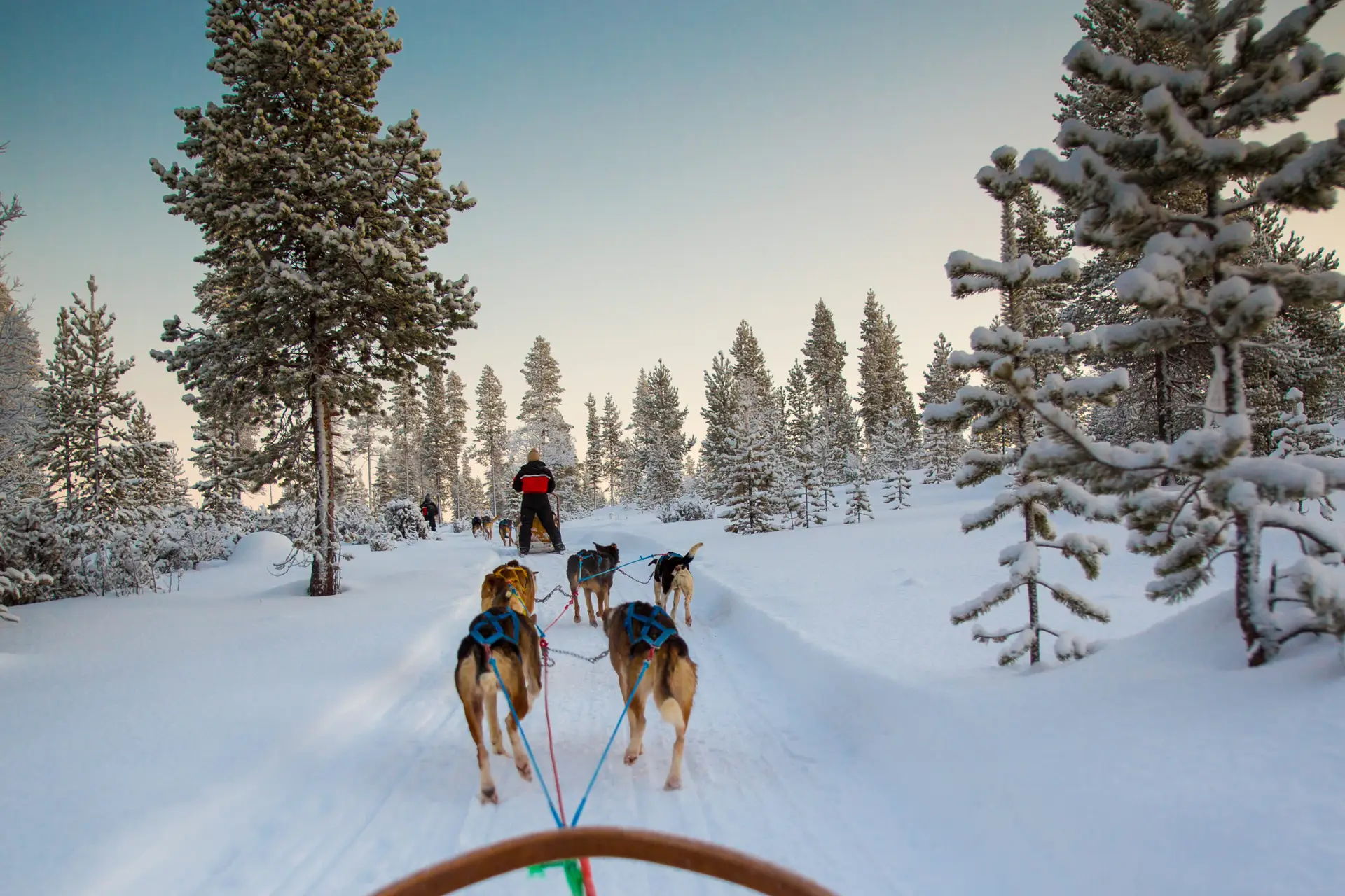 Winterzauber Lappland