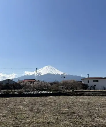 Japan – Zwischen pulsierenden Metropolen, Tradition und Kirschblüten